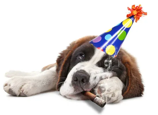 dog cigarette