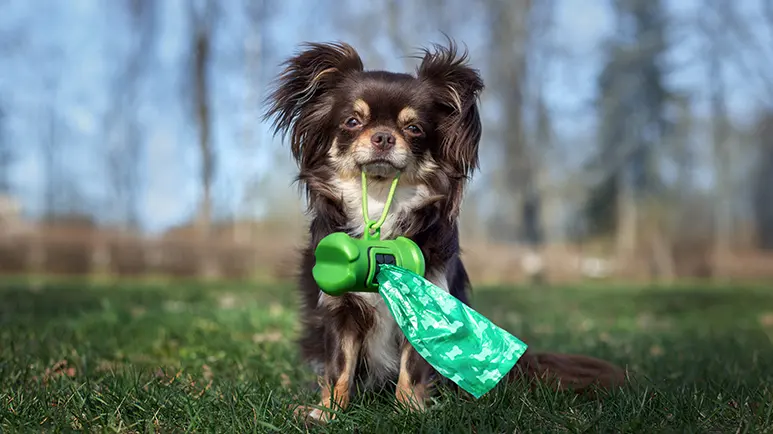 Could This Take the Stink Out of Potty Time?