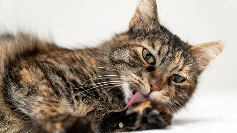This Self-Mutilating Behavior May Baffle, but It's Truly a Red Flag