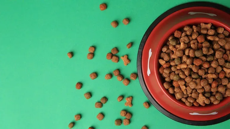 Don't Expect Your Pet to Weather This Choice of Pet Food Well