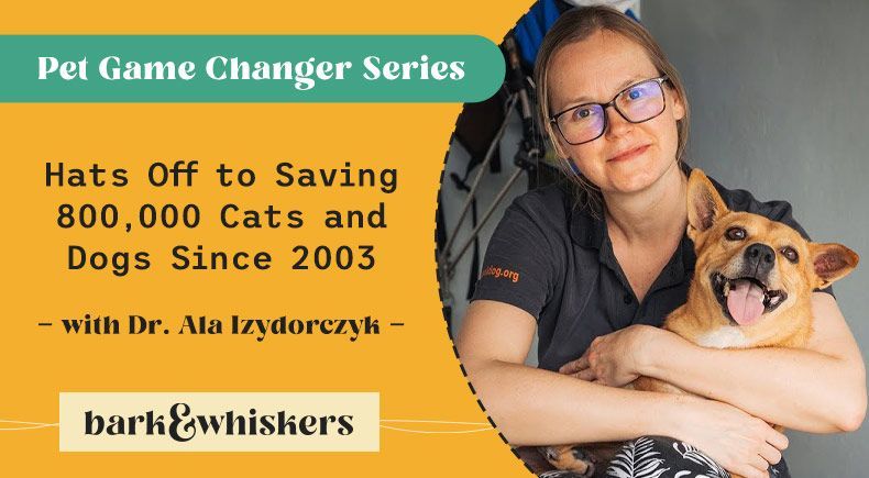 Dr. Alicja Izydorczyk saving cats dogs