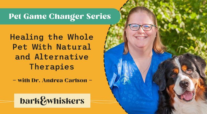 healing pet natural alternative therapies