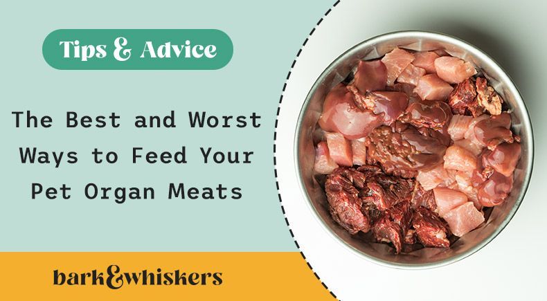 organ meats for pets
