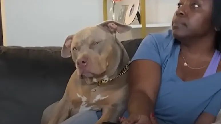 pittie plays her mom against her grandma
