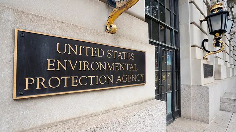 bayer seresto collar