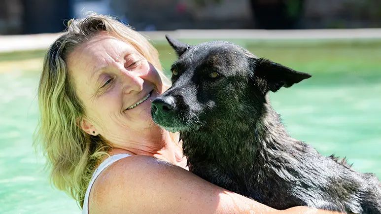 caring for a senior dog