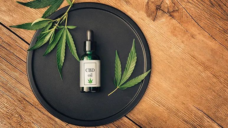 cbd oil for pets