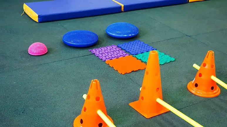 rehabilitation therapy for pets