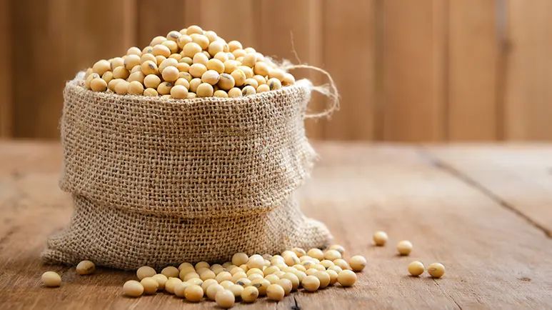 soybean meal in pet food