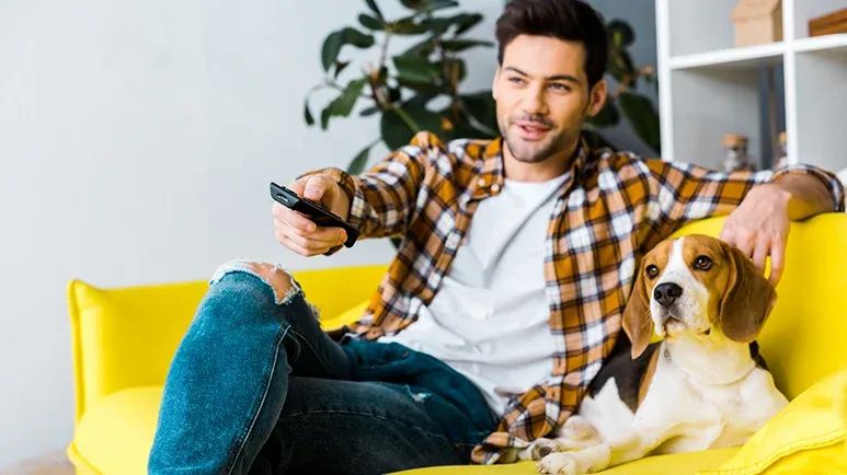 does your dog watch tv like you do