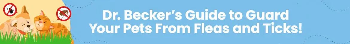Dr. Becker's Guide to Guard Your Pets from Fleas and Ticks