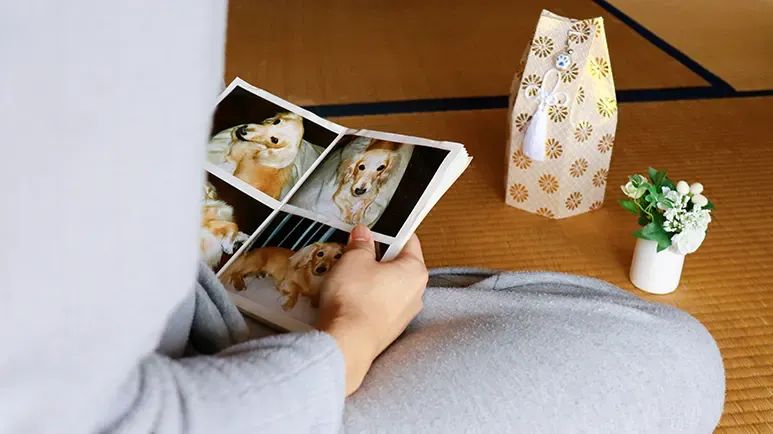 memorial ideas for dogs