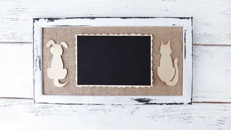 memorializing pet companion