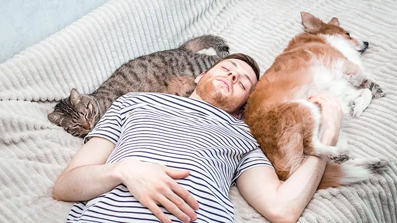 sleeping with pets