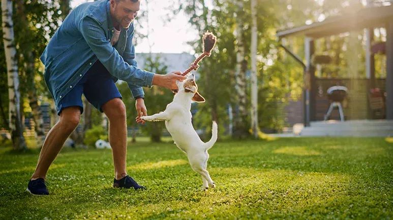 environmental enrichment