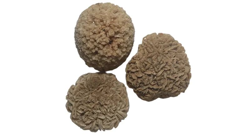 calcium oxalate stones