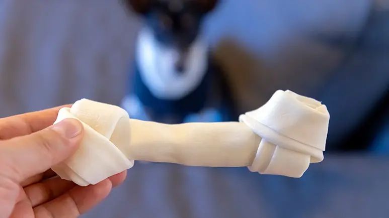 rawhide dog chews chemical contamination