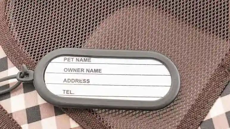 national pet identification week