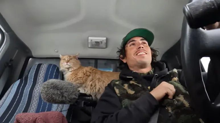 barn cat rescues guy is what really happened