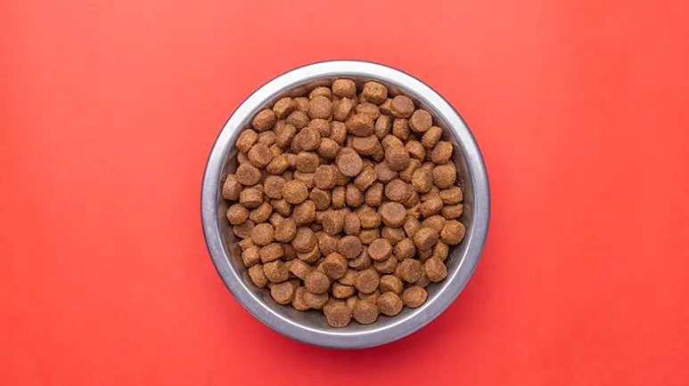 dry dog foodmyths
