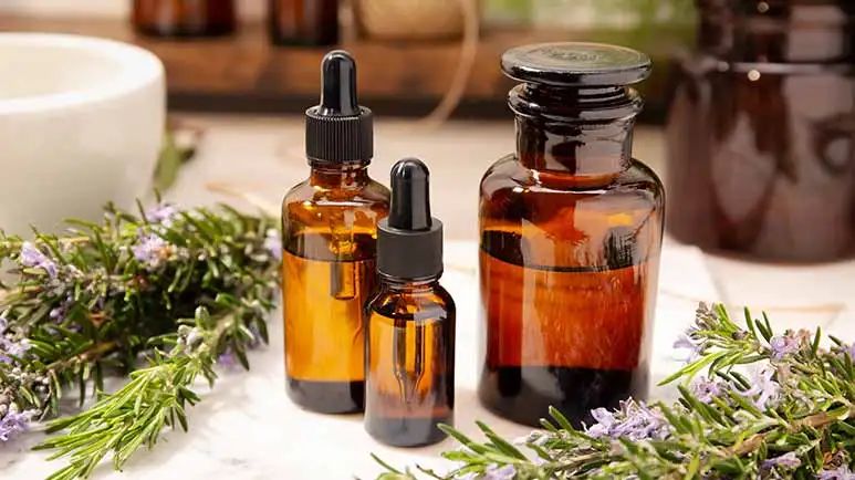 fleas ticks seasonal allergies