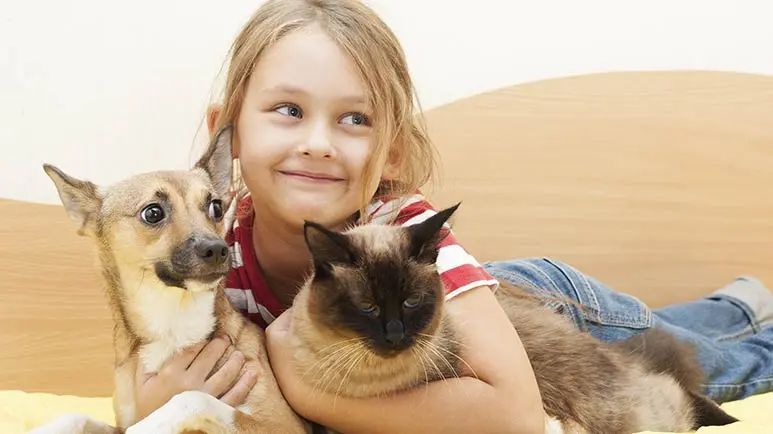 ways pets tell you they love you