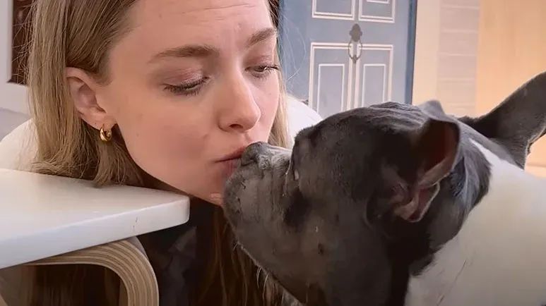 amanda seyfried goes on a dodo dream date