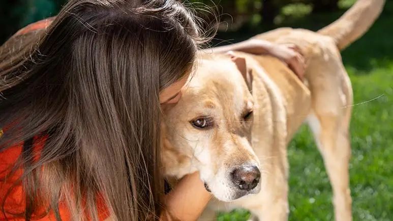 hug your dog