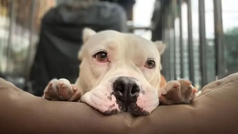 marge was given a second chance at love