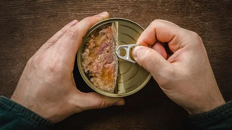 mercury toxins pet food