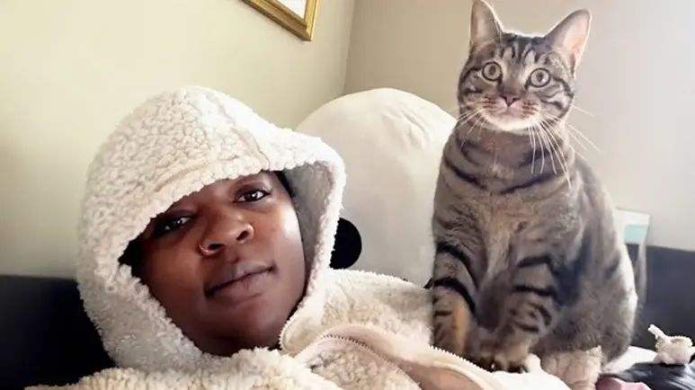 clingy cat craves constant company