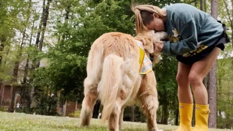 from neglect to love baylors journey