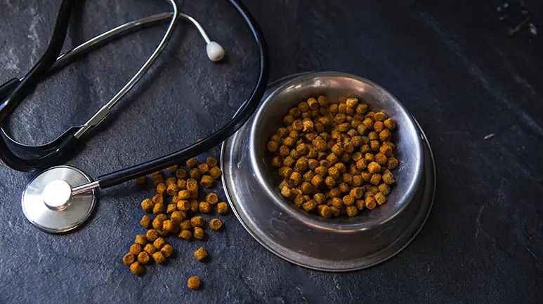 veterinarians dislike discussing pet diets