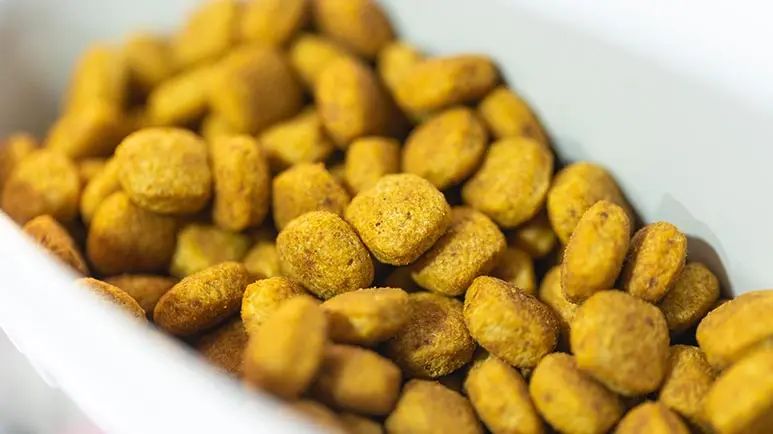 avoid dog food containing rice bran