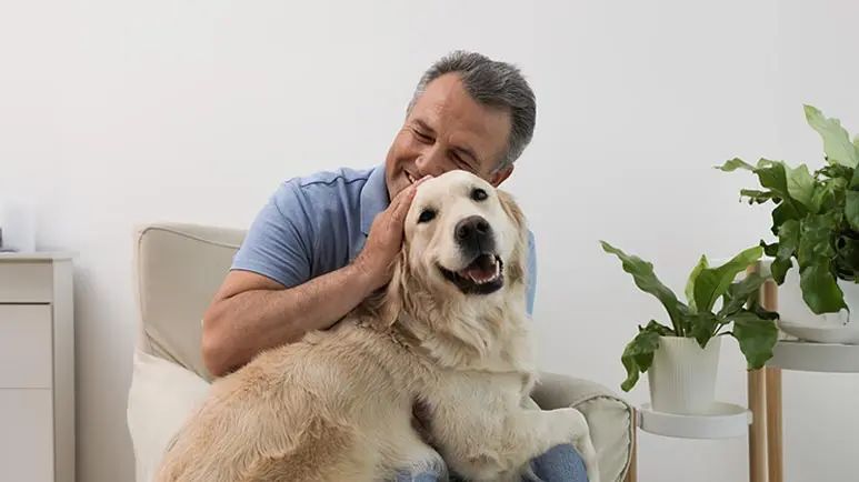 can your dog improve your brain health