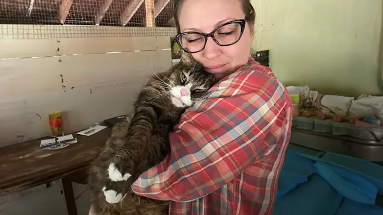 cenks journey from stray to loved