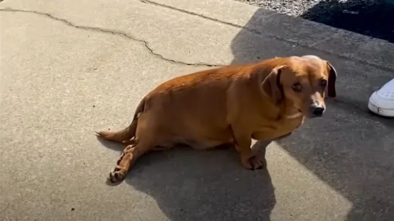 mannys journey from paralysis to hope