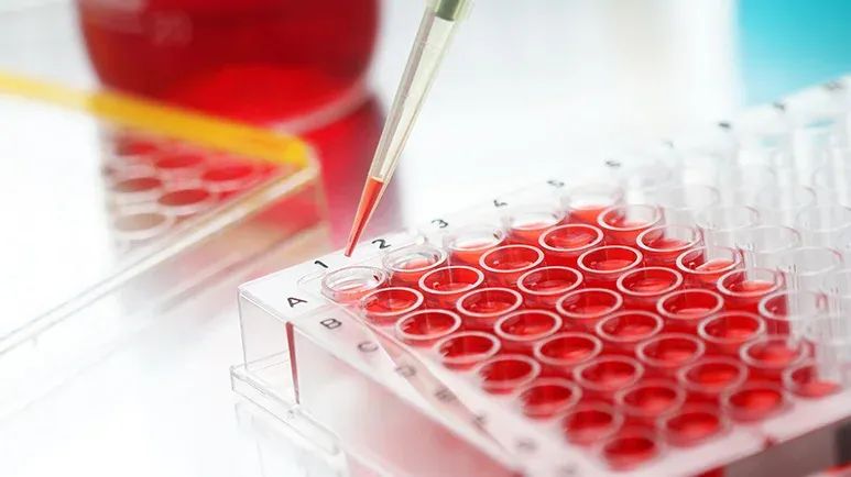 over vaccination in pets