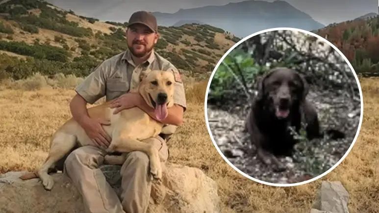 loyal dog leads rescuers to lost woman