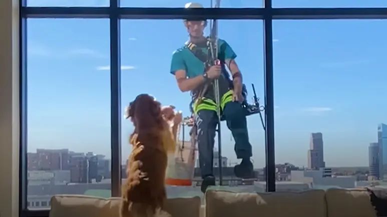 tofus mission making friends everywhere