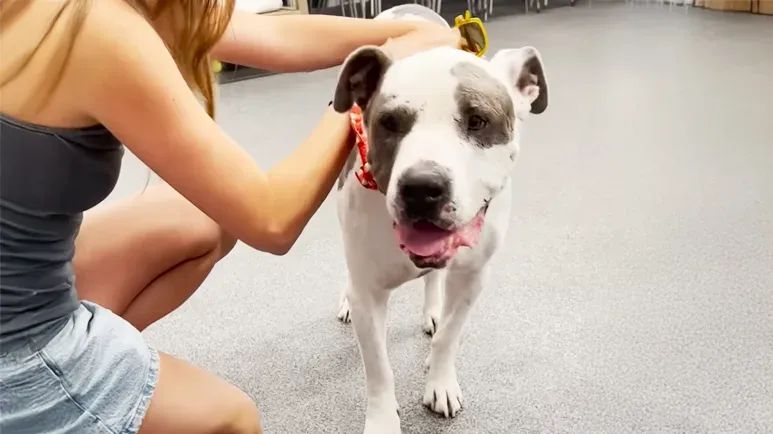 donnies foster break a taste of home