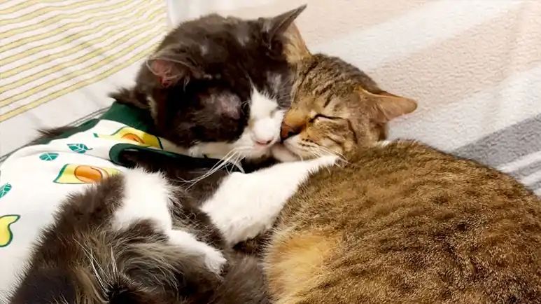 from fearful to family