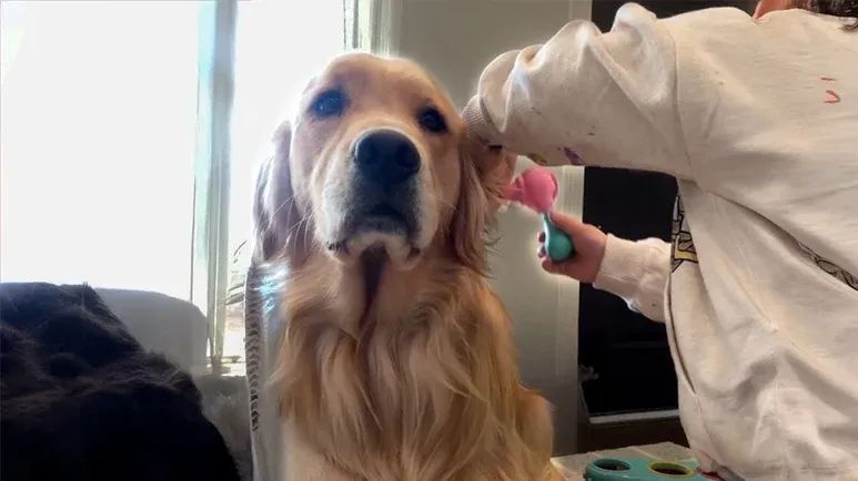 nana the ultimate daycare helper