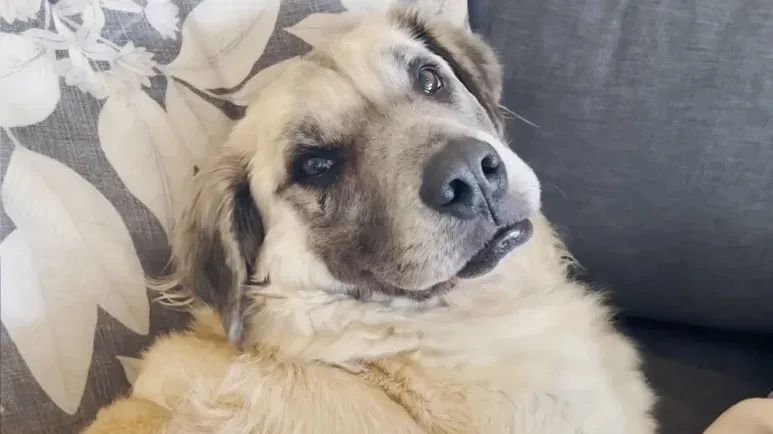 spencer from invisible to unforgettable