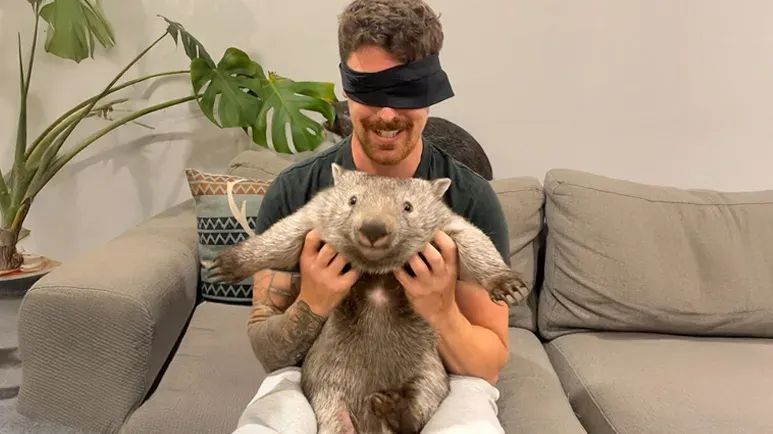 bittersweet release day