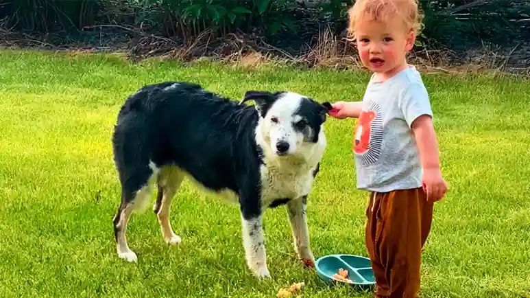 bubbles found her forever