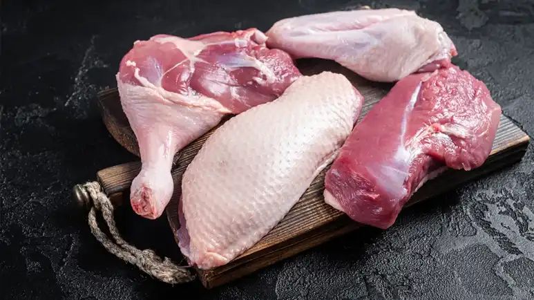 can you feed duck meat to your pet