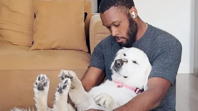 doves second chance at love