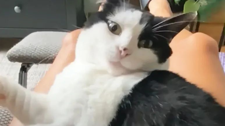 from fear to family gias journey