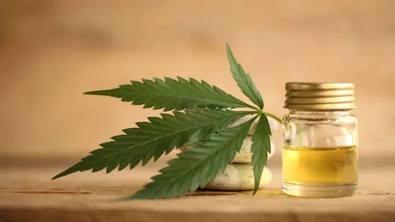 thc toxicosis in dogs